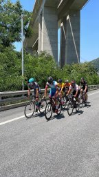 9c19a70c