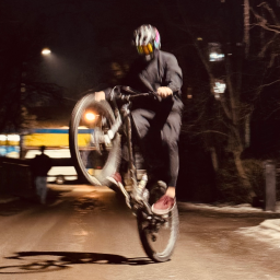 Лев Пальчунов
